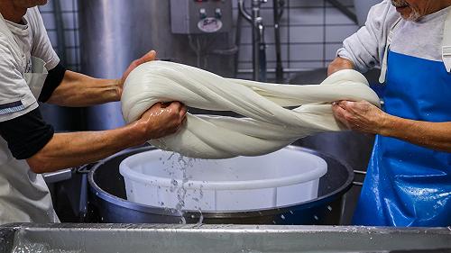 Perché la mozzarella di bufala si trova al Nord mentre al Sud la produzione è bloccata?