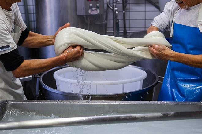 produzione mozzarella di bufala