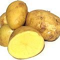 Patate