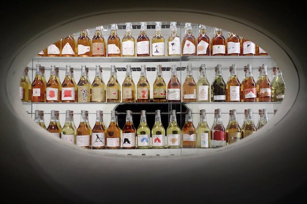 I distillati di Ilario Vinciguerra
