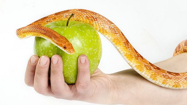 Serpente tentatore