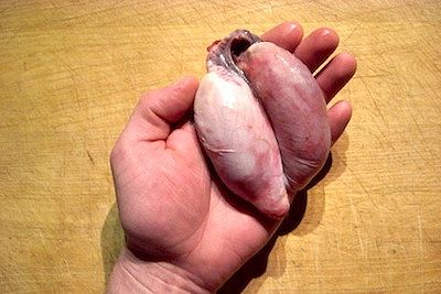 Testicoli di alce