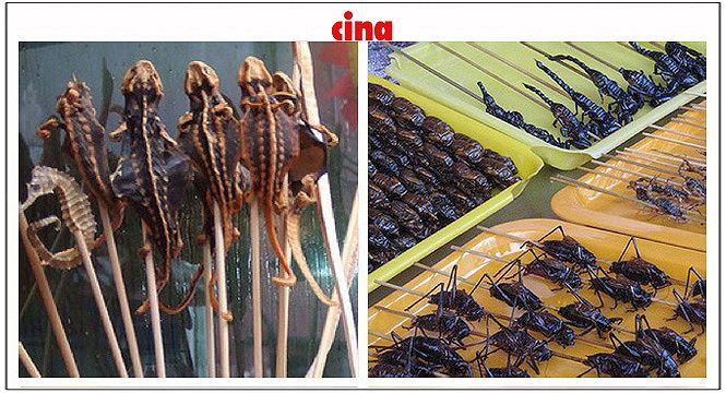 Cina | Street Food
