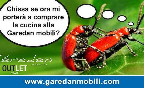 Garedan Mobili