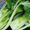 Verdure a foglia verde