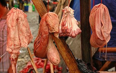 Testicoli di bufalo
