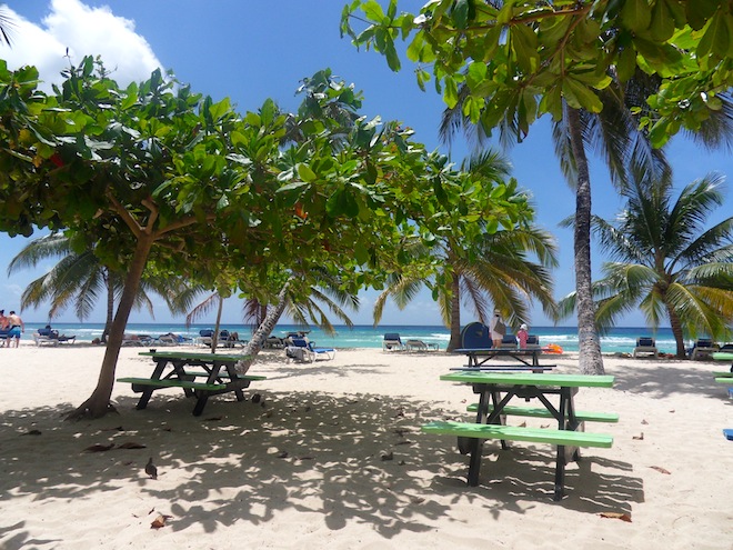 Mangiare la pizza a Barbados