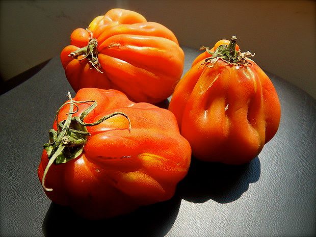 Pomodori cuore di bue