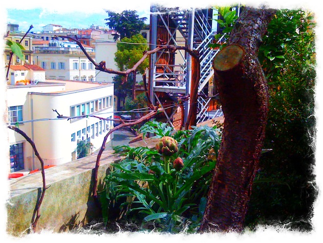 Carcifi romani nell'orto in terrazza