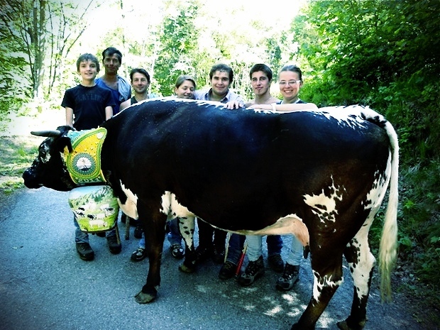 Giovani durante una transumanza di salita in alpeggio (Val Pellice - TO)