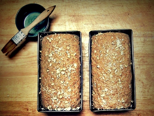 Pane integrale