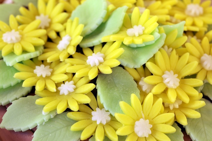 I fiori di Marina Ragazzi