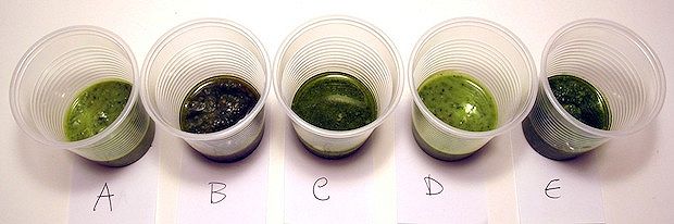 Il test alla cieca