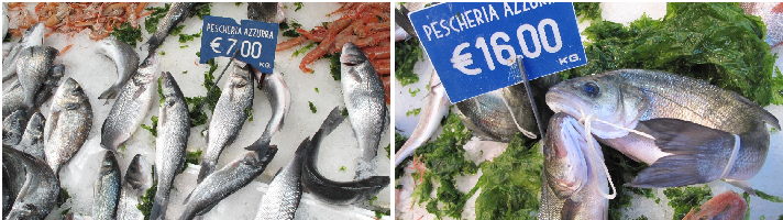 Alla pescheria Azzurra di Napoli, la spigola di allevamento costa 7 euro, quella di mare 16 euro