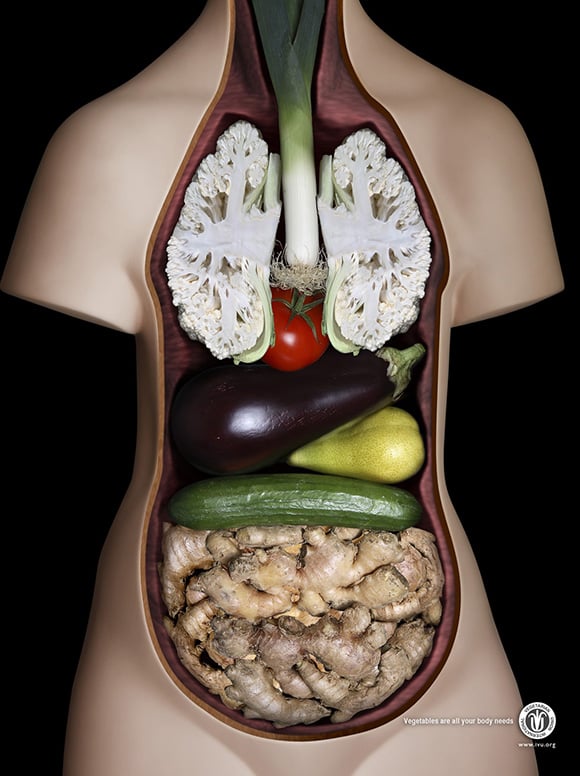 La pubblicità anatomica della International Vegetarian Union