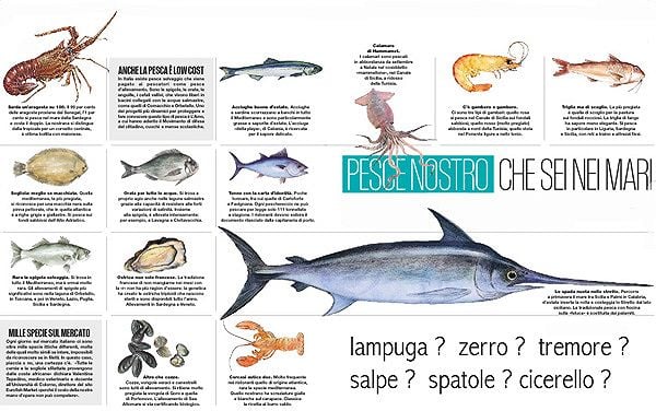 pesce, italia, mare