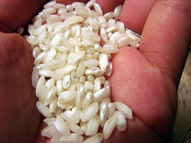 Carnaroli