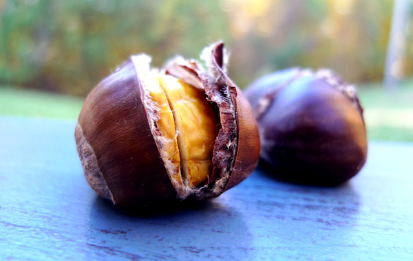 Castagne castagne