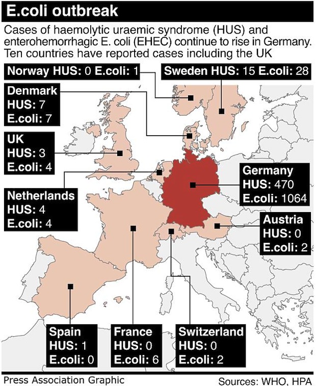 La diffusione dell'E coli in Europa