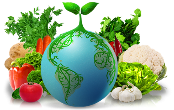 http://www.dissapore.com/wp-content/uploads/bg-banner-welcome-600x380.png