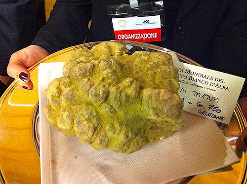 Il tartufo aggiudicato al vincitore dell'Asta