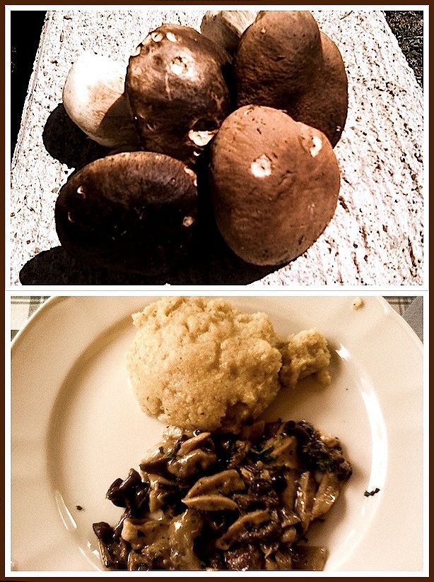 Porcini e polente