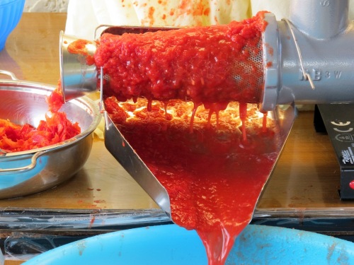 Una vera passata