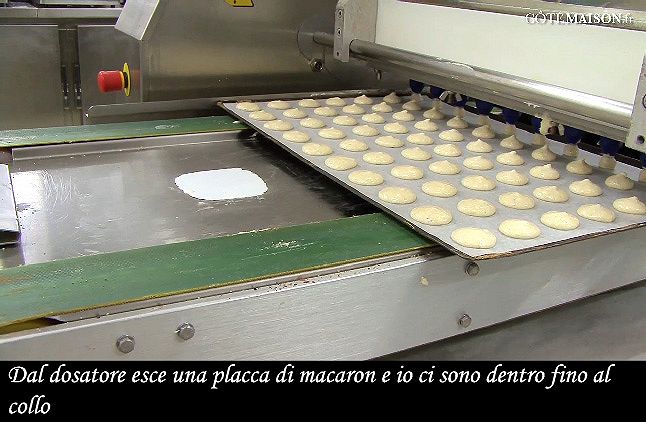 La placca
