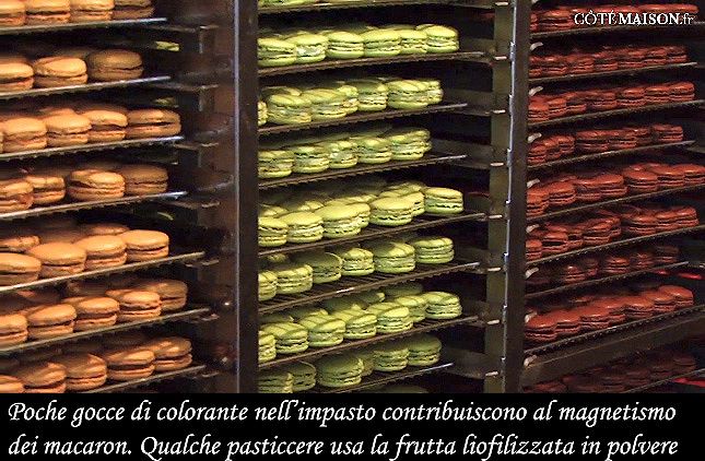 Il colore