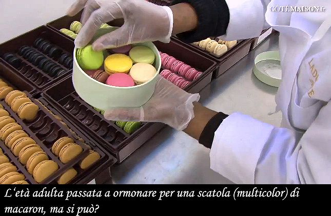 In scatola