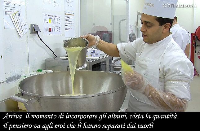 Gli albumi