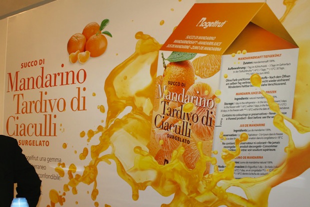 Mandarino tardivo di Ciaculli