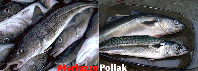 Il pollak viene spacciato per merluzzo