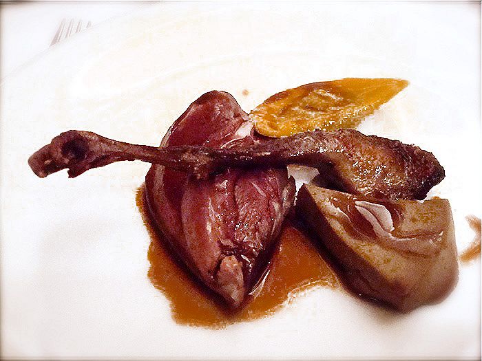 piccione