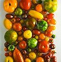 Pomodori