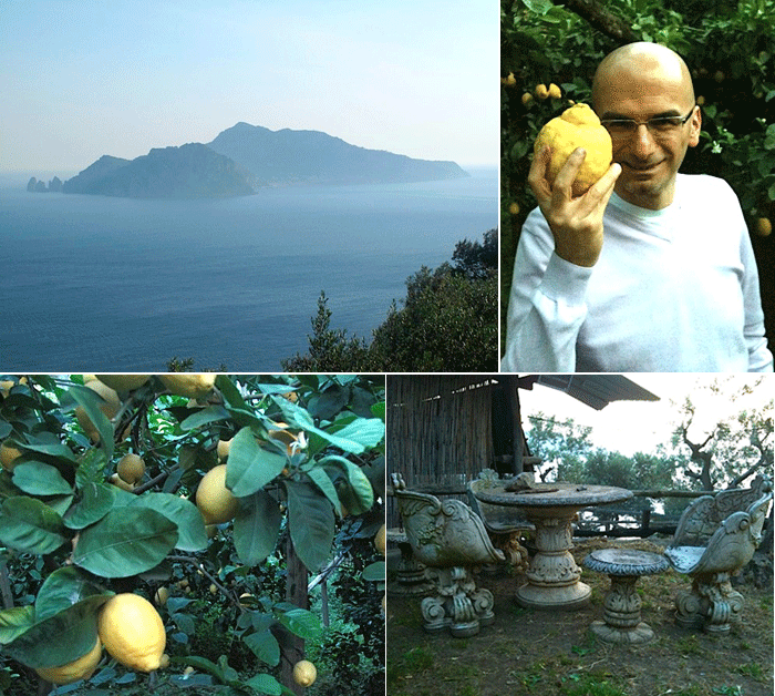 L'orto botanico di Punta Campanella