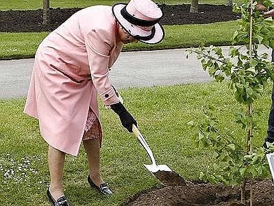 La Regina Elisabetta nel rinnovato orto di Buckingham Palace