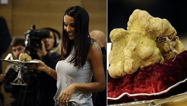 Il tartufo protagonista dell'Asta 2010