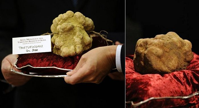 Immagini dall'Asta del tartufo di Alba