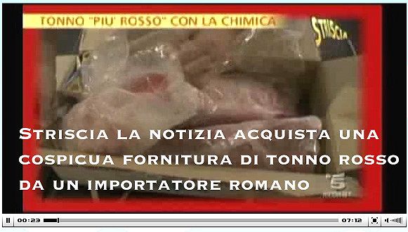 Striscia la Notizia compra il tonno rosso