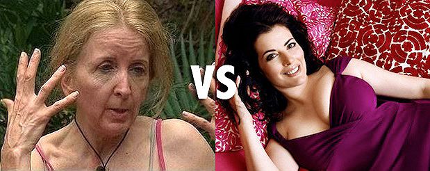 Veg vs carnivore