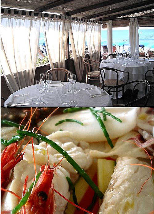 La Pineta di Marina di Bibbona in stagione e il Bollito di pesce